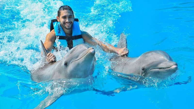 Puerto Aventuras: Dolphin Swim, Sea Lions, Manatees, & Lunch - The dolphin session and its hand target