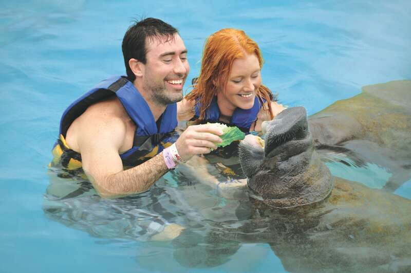 Puerto Aventuras: Dolphin Swim, Sea Lions, Manatees, & Lunch - Lunch and a practical break at Puerto Aventuras
