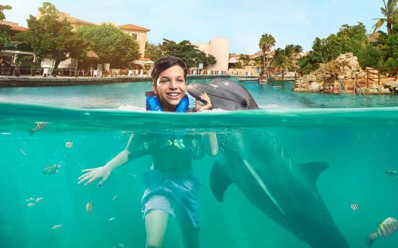 Puerto Aventuras: Dolphin Swim, Sea Lions, Manatees, & Lunch - Should you book the Puerto Aventuras Royal Swim Plus?