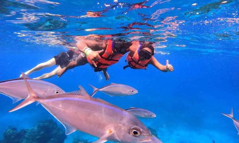 Puerto Morelos: Guided Snorkeling Tour with Gear & Fees - What this Puerto Morelos snorkel tour is really like