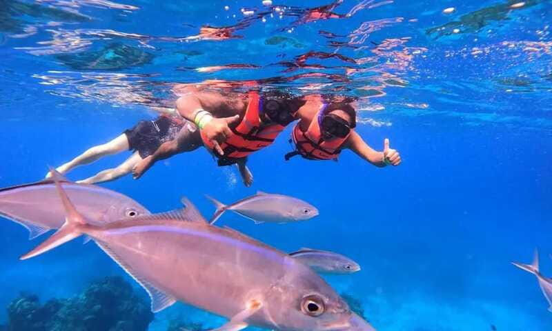 Puerto Morelos: Guided Snorkeling Tour with Gear & Fees - Guides who make the difference