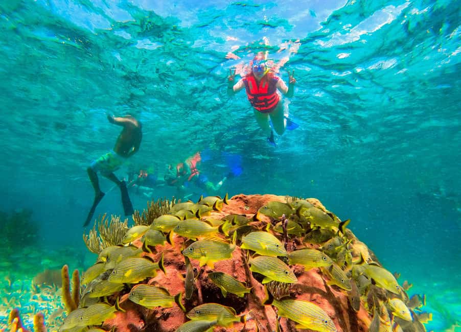 Puerto Morelos: National Reef Park Snorkeling & Beach Lunch - Who should book this four-hour outing
