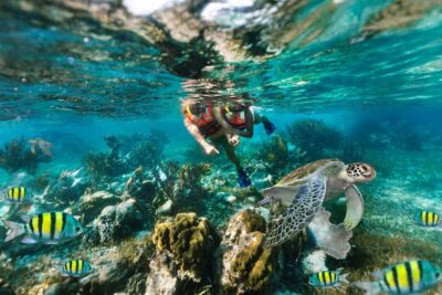 National Reef Park Snorkeling & Beach Lunch