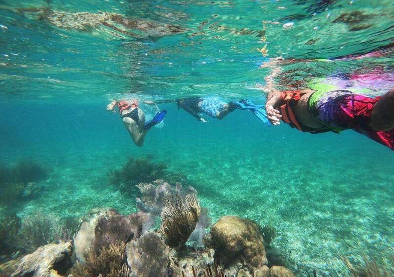 Puerto Morelos: Snorkel in Coral Reef with transportation - The 45-Minute Reef Snorkel