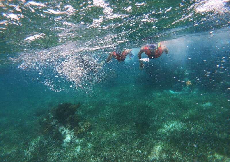 Puerto Morelos: Snorkel in Coral Reef with transportation - Two Tacos and Beach-Club Time