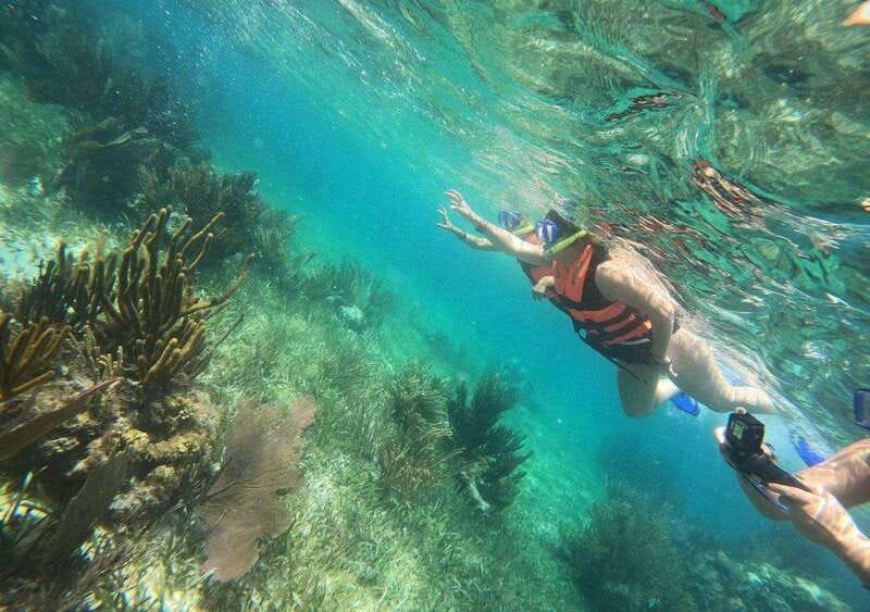 Puerto Morelos: Snorkel in Coral Reef with transportation - The Group Format and Guide Support