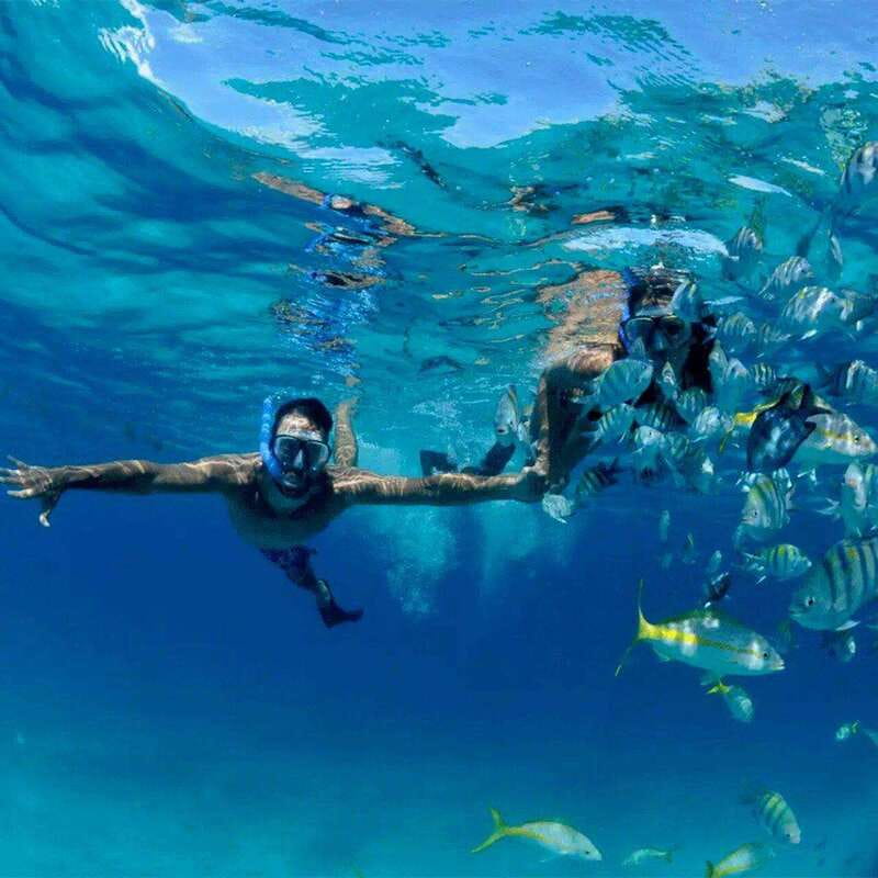 Puerto Morelos: Snorkeling at The National Reef Park - Meeting outside Crazy Fish Tacos