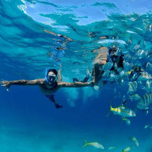 Puerto Morelos: Snorkeling at The National Reef Park - Final booking advice for reef-minded swimmers