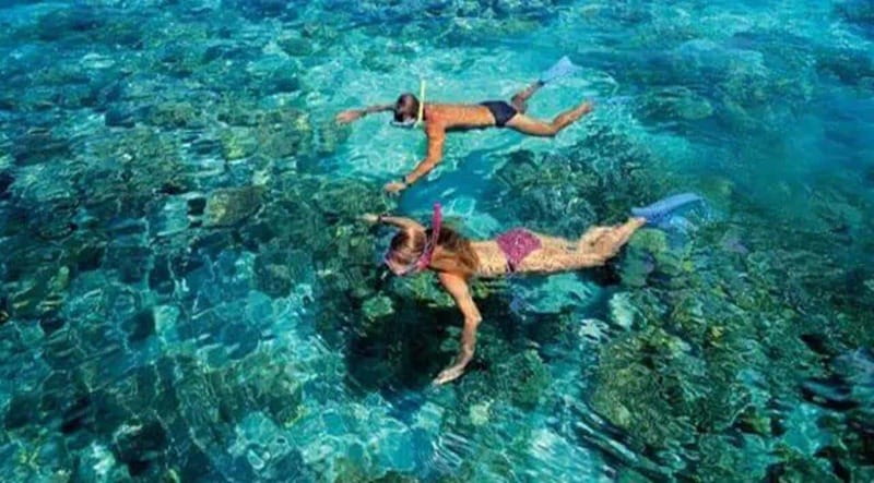 Puerto Morelos: Snorkeling at The National Reef Park - A short 500-meter boat ride to the corals