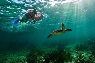 Snorkeling Guided Activity