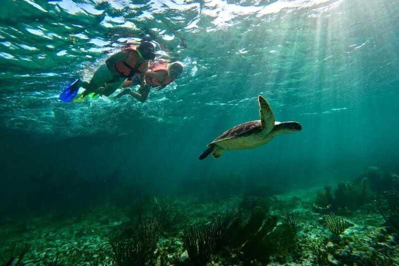 Puerto Morelos: Snorkeling Guided Activity - Booking flexibility and practical planning