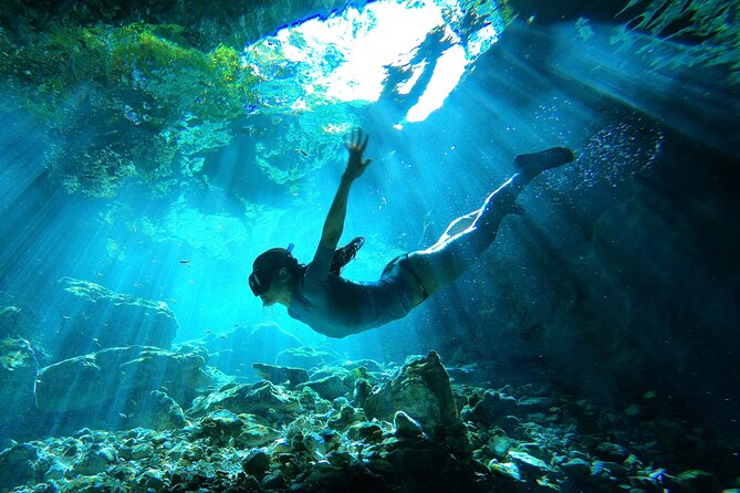 Sunlight falling through the mouth of a cenote south of Playa del Carmen