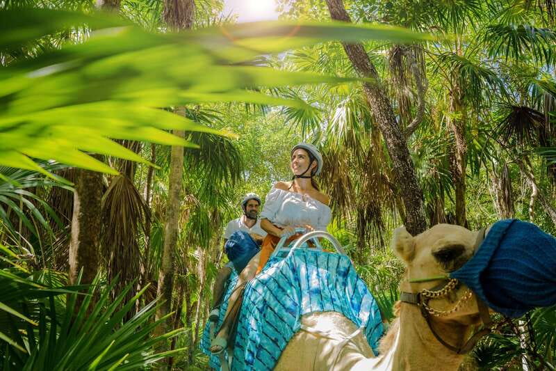 Riviera Maya: Camel Caravan Expedition and Beach Club Access - Along the dunes and Caribbean shore