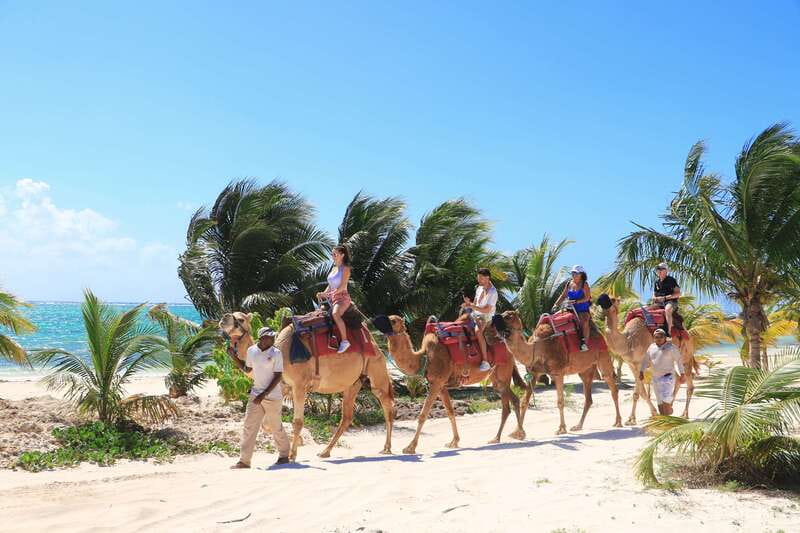 Riviera Maya: Camel Caravan Expedition and Beach Club Access - Is $168 a fair price?