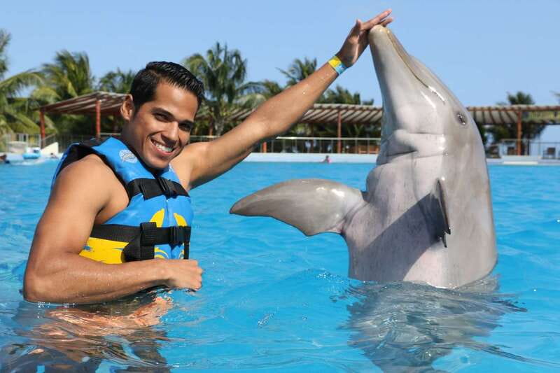 Riviera Maya: Dolphin Encounter with Beach Club Access - Key points to know before booking