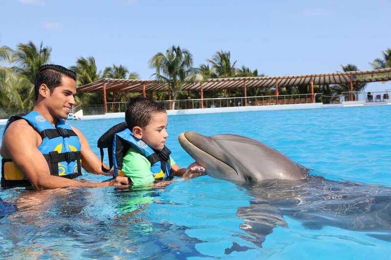 Riviera Maya: Dolphin Encounter with Beach Club Access - A full beach afternoon at Playa Maroma