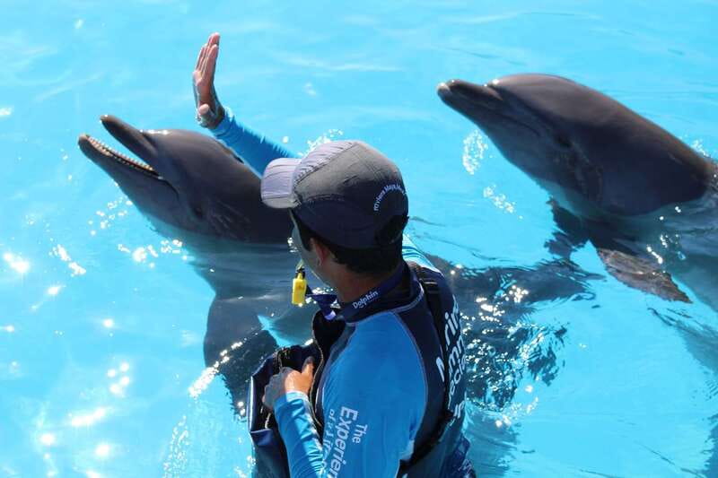 Riviera Maya: Dolphin Encounter with Beach Club Access - Timing, scheduling, and service concerns