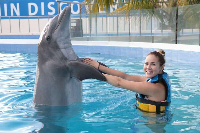 Riviera Maya: Dolphin Encounter with Beach Club Access - Is $109 a fair price?