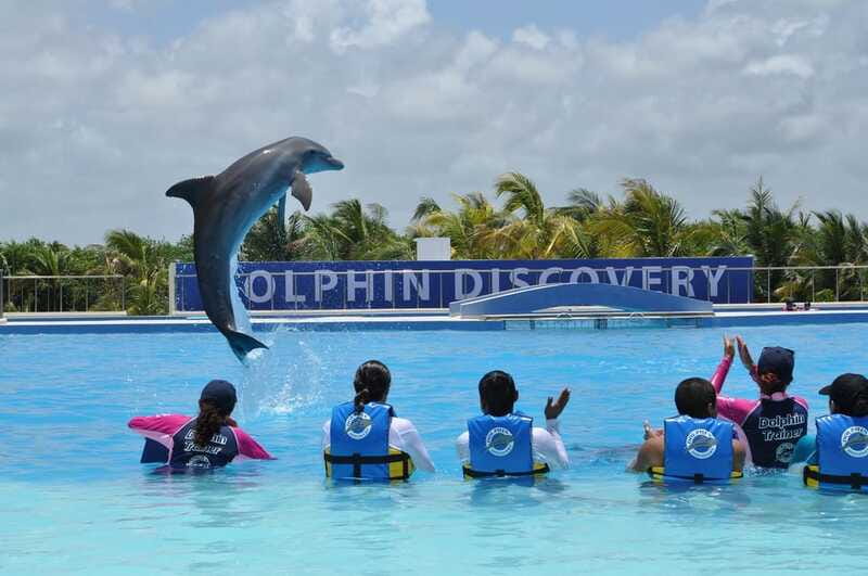 Riviera Maya: Dolphin Encounter with Beach Club Access - Who will enjoy this most?