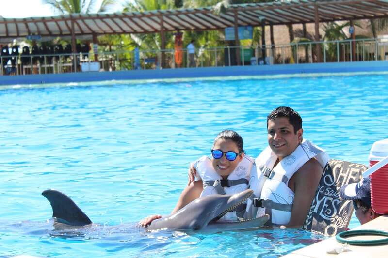 Riviera Maya: Dolphin Encounter with Beach Club Access - What the dolphin session is really like