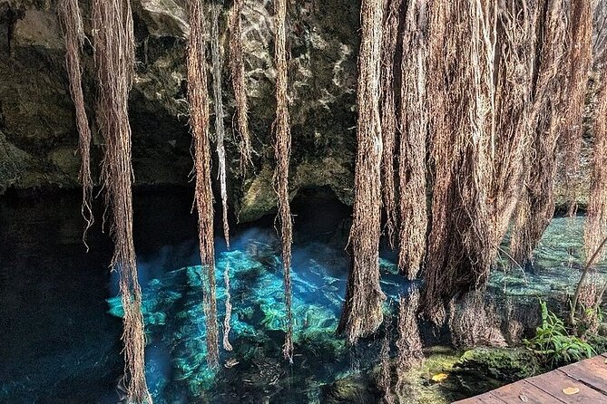 Riviera Maya Half Day Casa Jaguar Cenote, Zipline and ATV - Guides who add more than directions