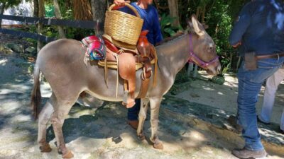 Horseback Riding at Rancho Bonanza