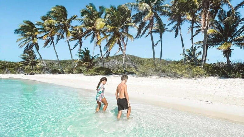 Riviera Maya: Isla Contoy and Isla Mujeres Full-Day Tour - The catamaran ride across the Caribbean