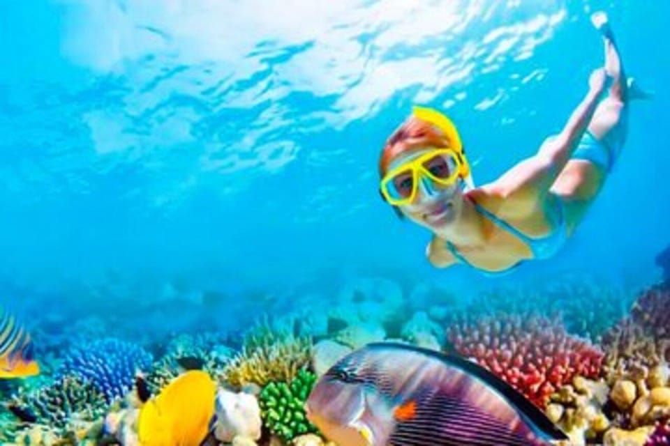 Riviera Maya: Isla Contoy and Isla Mujeres Full-Day Tour - Buffet lunch and the open bar
