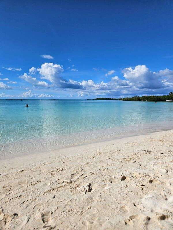 Riviera Maya: Isla Contoy and Isla Mujeres Full-Day Tour - The return route through Cancún
