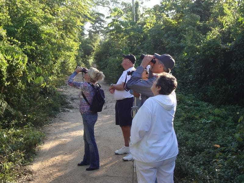 Riviera Maya: Puerto Morelos 4-Hour Bird Watching Tour - Should you book it?