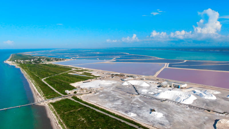 Riviera Maya: Rio Lagartos & Las Coloradas Day Trip w/Lunch - Who should book this 12-hour excursion?