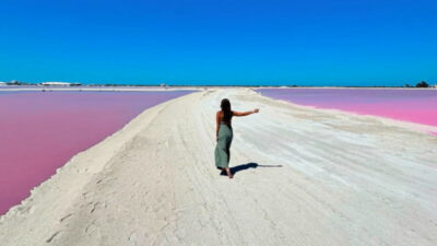 Rio Lagartos & Las Coloradas Day Trip w/Lunch