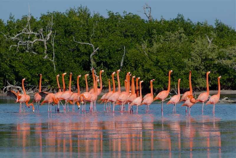 Riviera Maya: Rio Lagartos & Las Coloradas Day Trip w/Lunch - Las Coloradas and the famous pink water