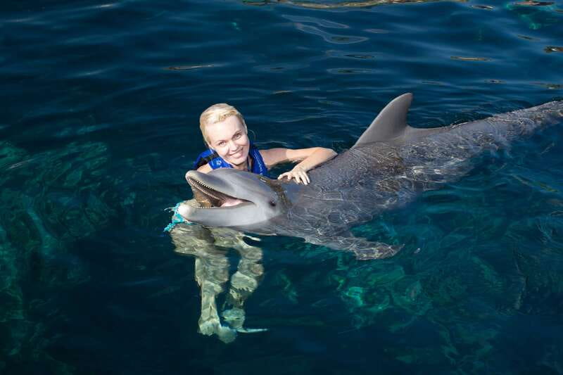Riviera Maya: Swim with dolphins Interax - Key points to know before you book