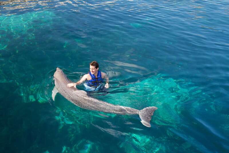 Riviera Maya: Swim with dolphins Interax - Booking flexibility and timing