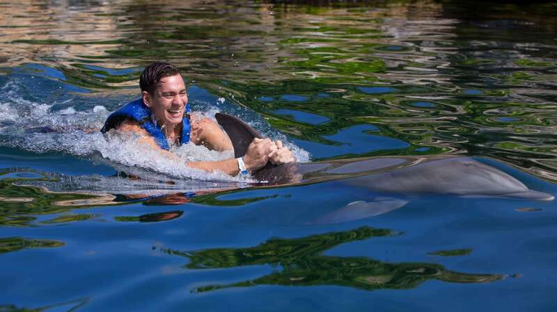 Riviera Maya: Swim with dolphins Interax - What the 45-minute Interax session is really like