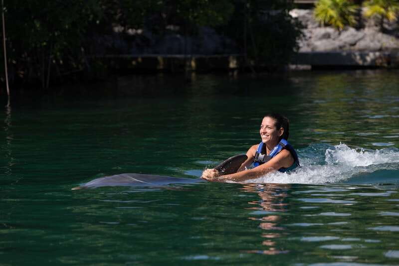 Riviera Maya: Swim with dolphins Interax - The 14 activities and what you gain from them