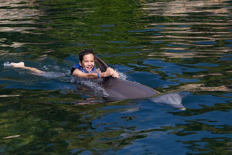 Riviera Maya: Swim with dolphins Interax - Who will get the most from this experience?