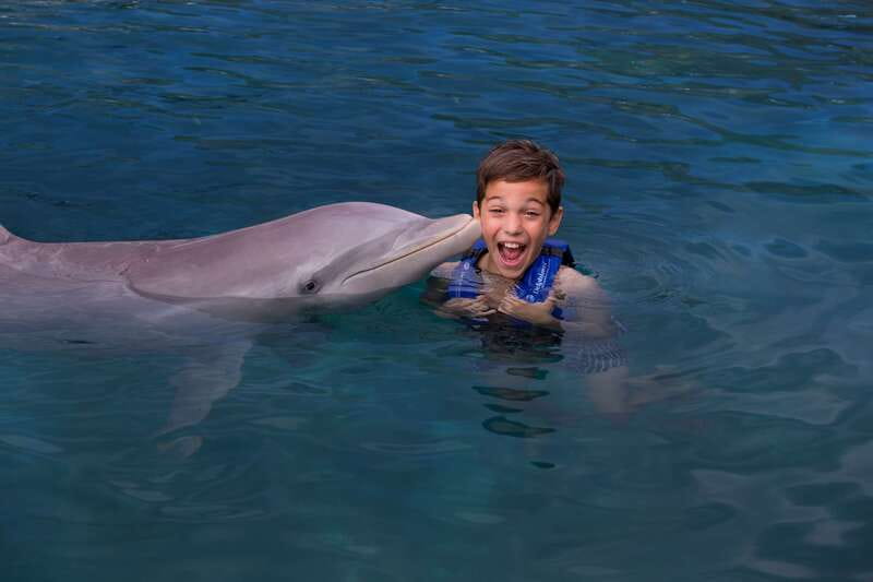 Riviera Maya: Swim with dolphins Interax - Meeting the dolphins beside Xcaret Park