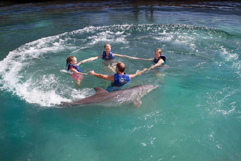 Riviera Maya: Swim with dolphins Primax - Who should book Primax?