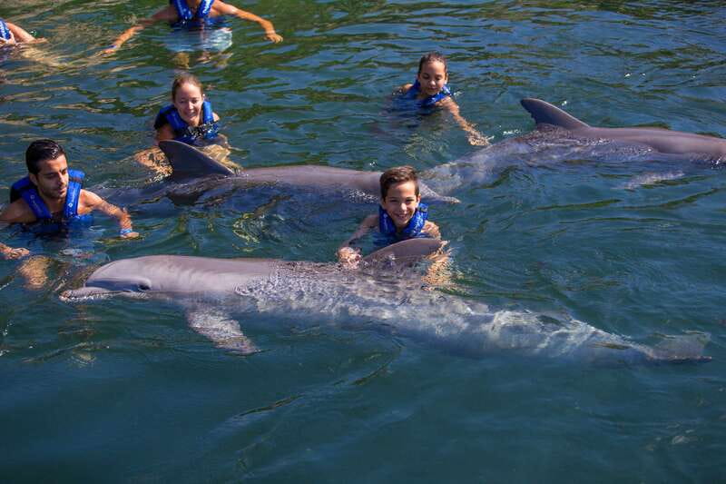 Riviera Maya: Swim with dolphins Primax - What is included, and what is not