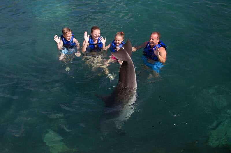 Riviera Maya: Swim with dolphins Primax - The no-phone rule is worth planning around
