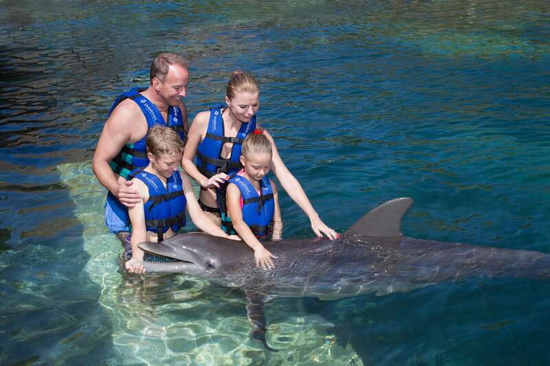 Riviera Maya: Swim with dolphins Primax - Getting to the habitat beside Xcaret