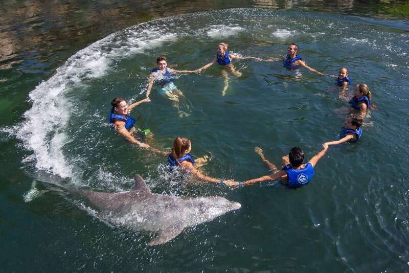 Riviera Maya: Swimming Experience with Dolphins - What the 45-minute dolphin session is really like