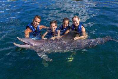 Swimming Experience with Dolphins