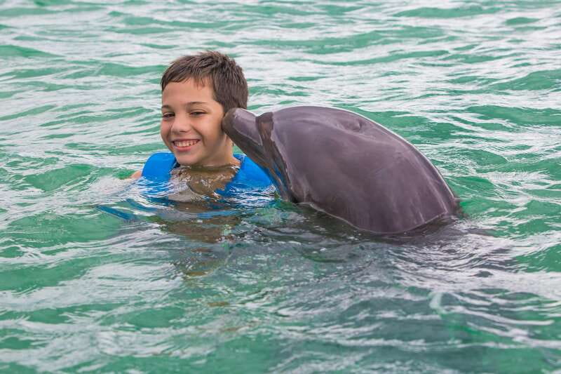 Riviera Maya: Swimming Experience with Dolphins - The real cost at $127 per person