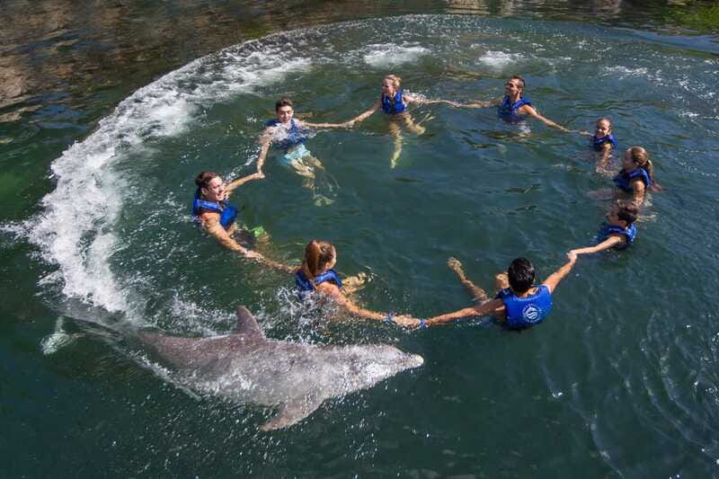 Riviera Maya: Swimming Experience with Dolphins - Who will enjoy this most