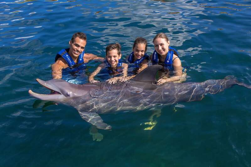 Riviera Maya: Swimming Experience with Dolphins - Close contact, but not free swimming