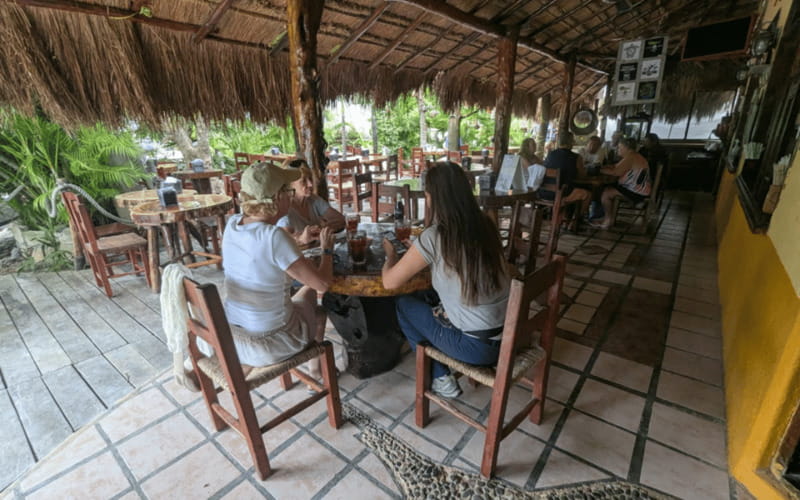 Riviera Maya: Tulum Ruins Tour, Turtle Swimming, Cenotes, and Lunch. - Transport, timing, and the practical details