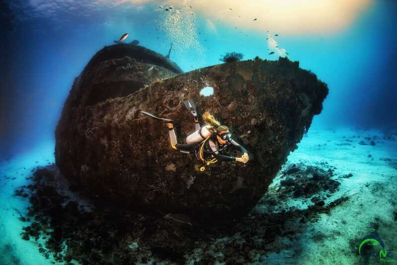 Scuba Dive in Playa del Carmen - 2 Dives (Certified divers) - The first one-hour underwater session